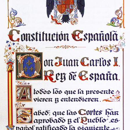 Apoyo a la Constitución