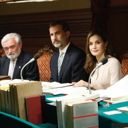 pleno de la RAE