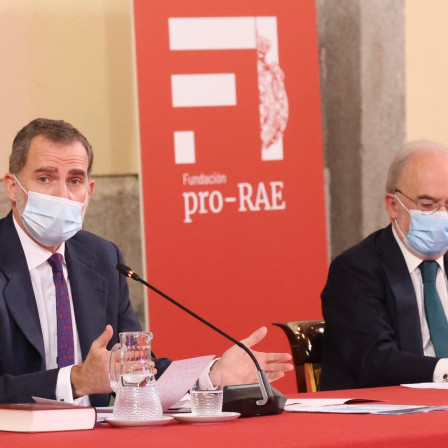 El Rey preside el patronato de la Fundación pro-RAE (foto: Casa Real)