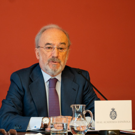 Santiago Muñoz Machado, director de la RAE (foto: RAE)